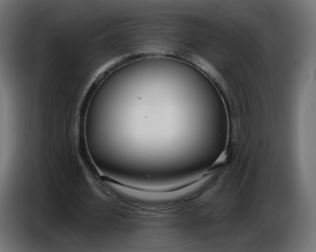 X0000086780580200705041530