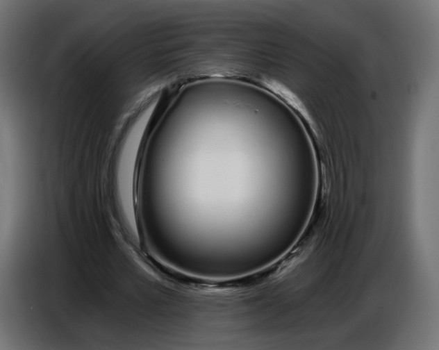 X0000086780581200705041530