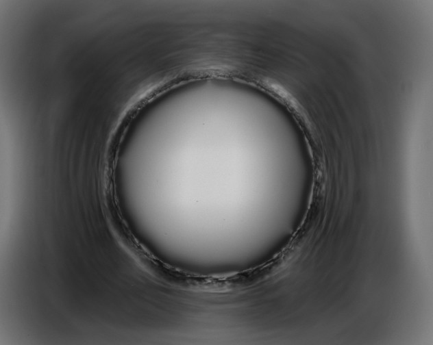 X0000086780582200705041530