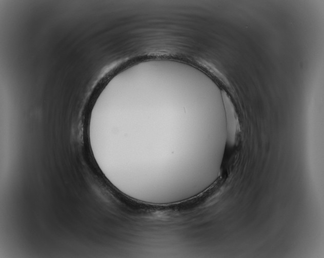 X0000086780584200705041530