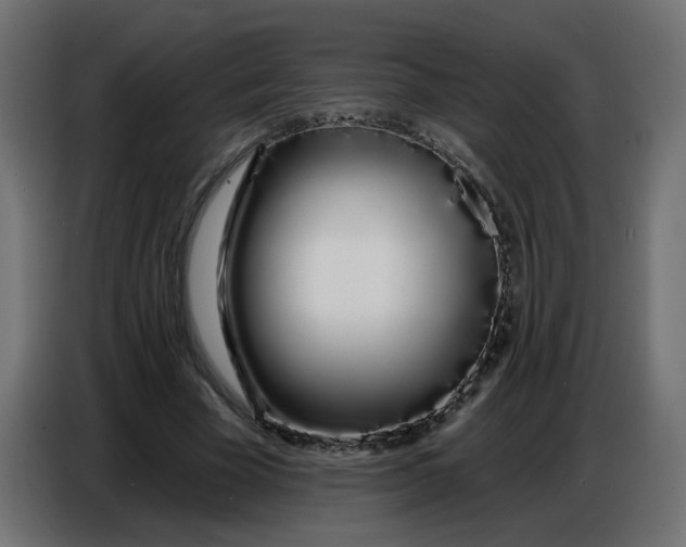 X0000086780585200705041530