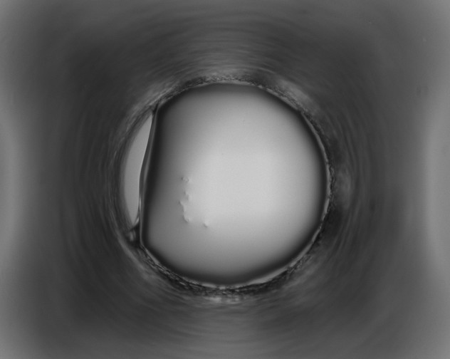 X0000086780586200705041530