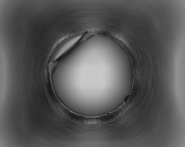 X0000086780587200705041530