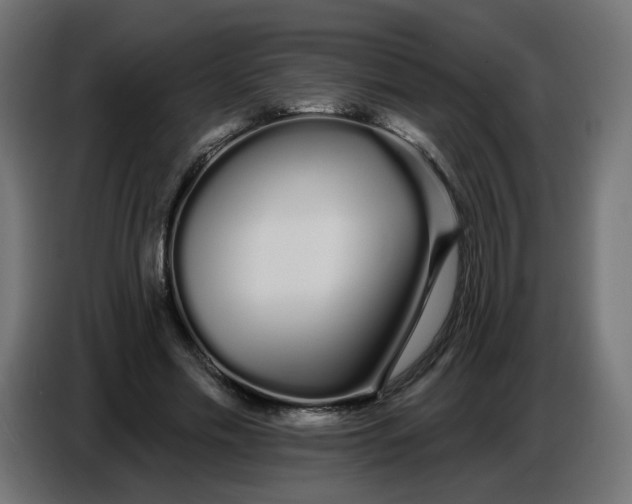 X0000086780589200705041530