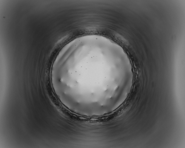 X0000086780590200705041530