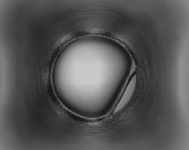 X0000086780591200705041530