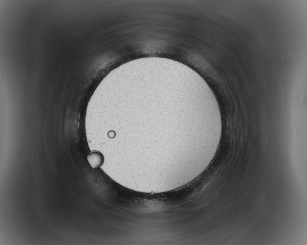 X0000086780592200705041530