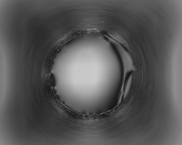 X0000086780593200705041529