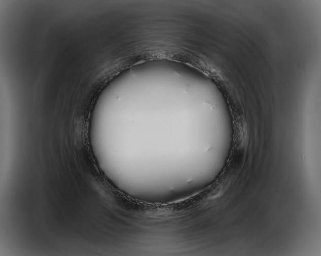 X0000086780594200705041529