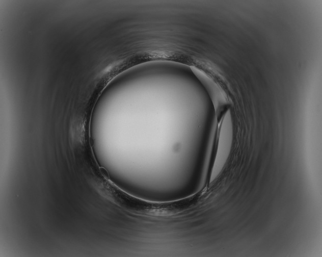 X0000086780596200705041529