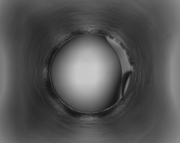 X0000086780597200705041529