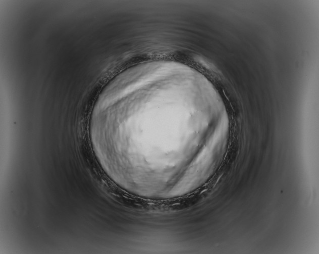 X0000086780598200705041529