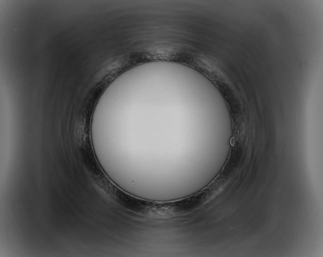 X0000086780599200705041529