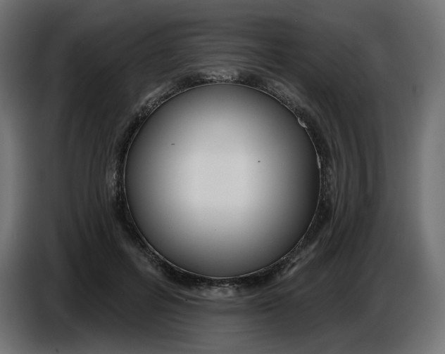 X0000086780600200705041529