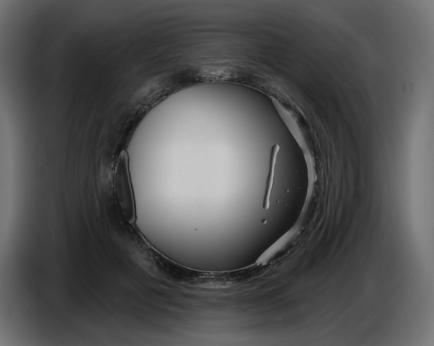 X0000086780601200705041529