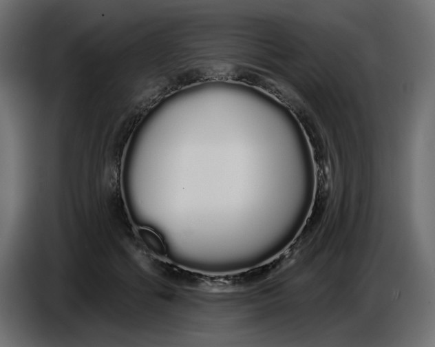 X0000086780602200705041529