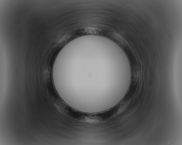 X0000086780603200705041529