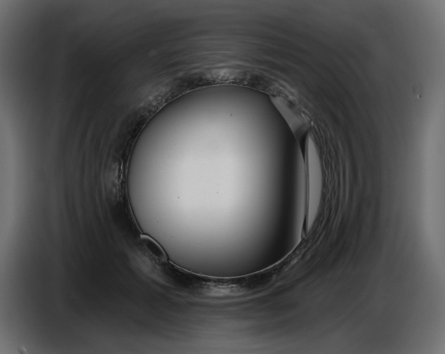 X0000086780605200705041529