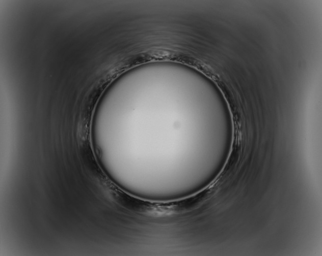 X0000086780606200705041529