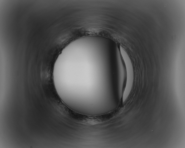 X0000086780608200705041529