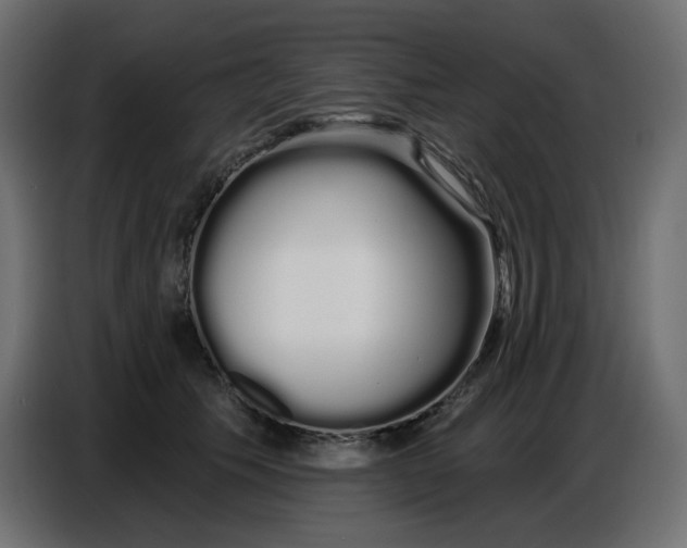 X0000086780609200705041529