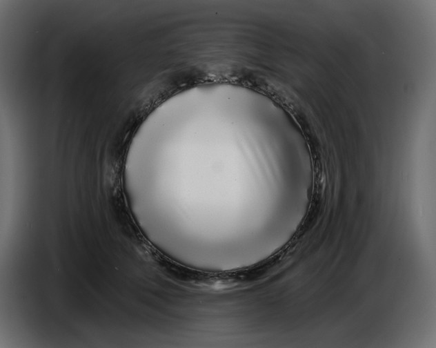 X0000086780610200705041529