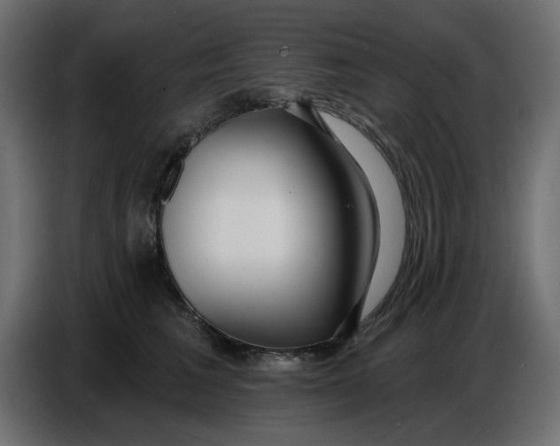 X0000086780613200705041529