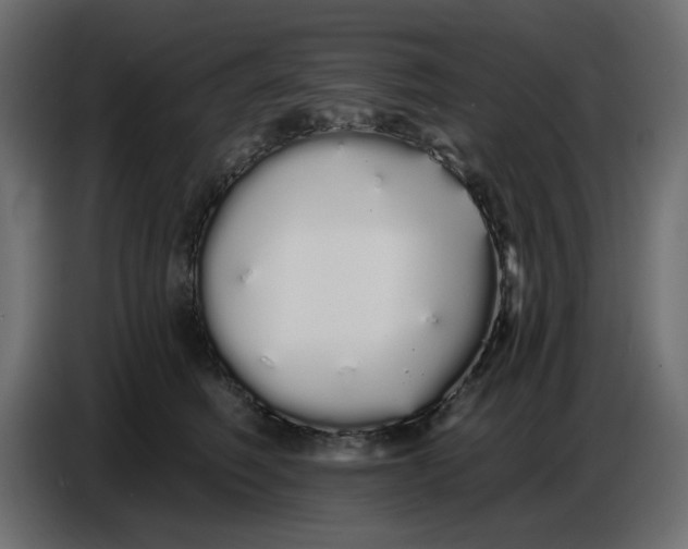 X0000086780614200705041529