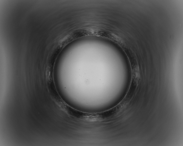 X0000086780615200705041529