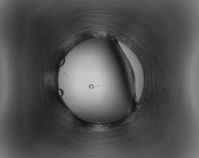 X0000086780616200705041529