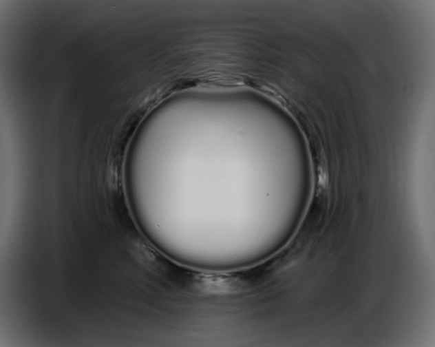 X0000086780618200705041529