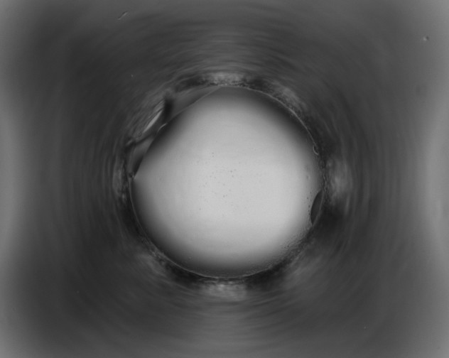 X0000086780619200705041529