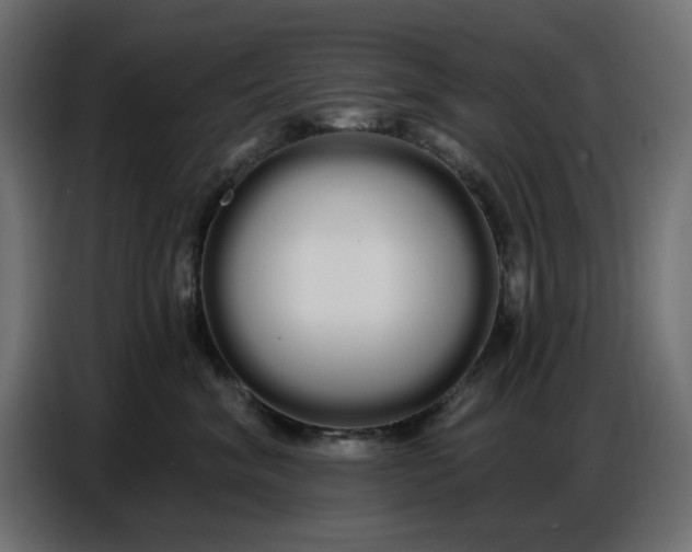 X0000086780620200705041529