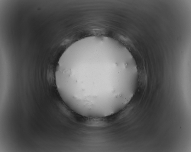 X0000086780622200705041529