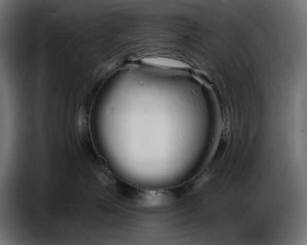 X0000086780623200705041529