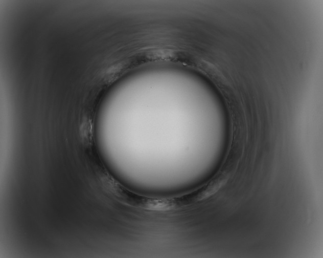 X0000086780624200705041529