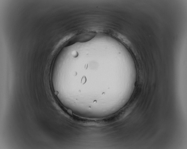 X0000086780625200705041528