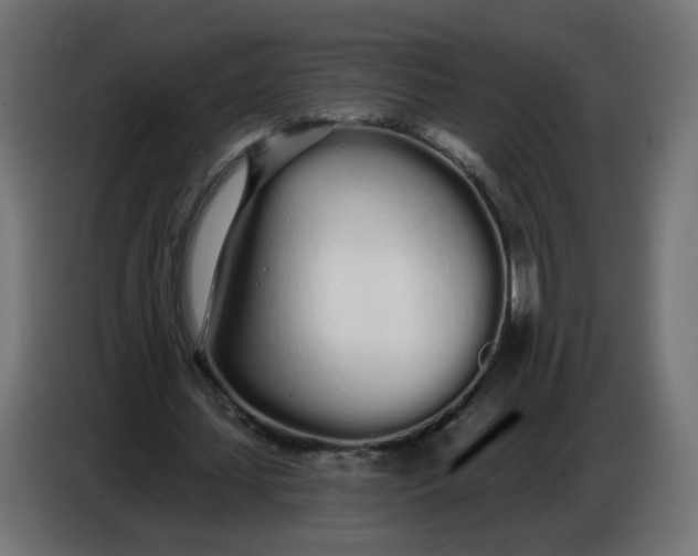 X0000086780627200705041529