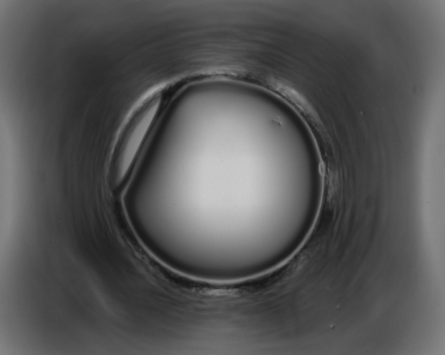 X0000086780628200705041529