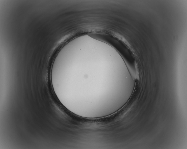 X0000086780629200705041529