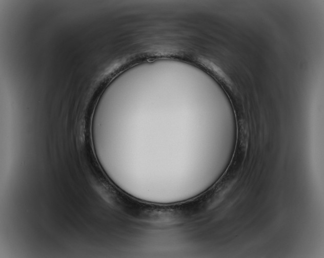 X0000086780631200705041529