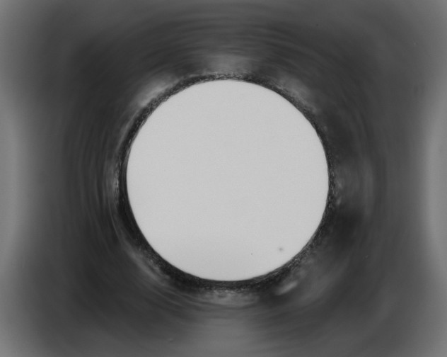 X0000086780632200705041529