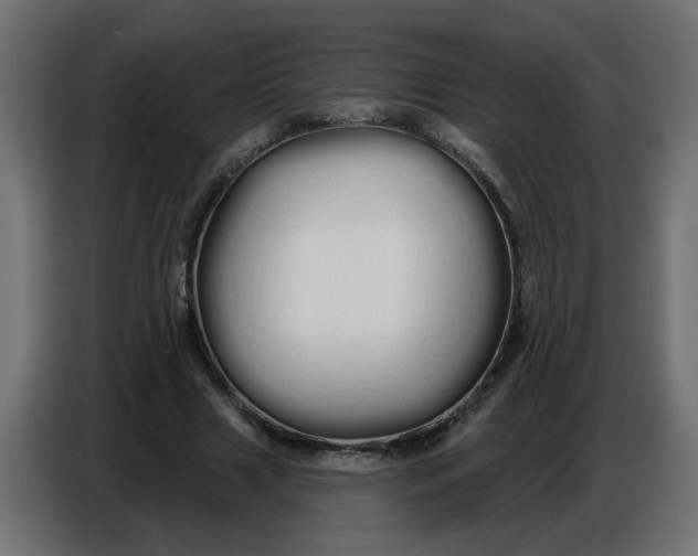 X0000086780633200705041529