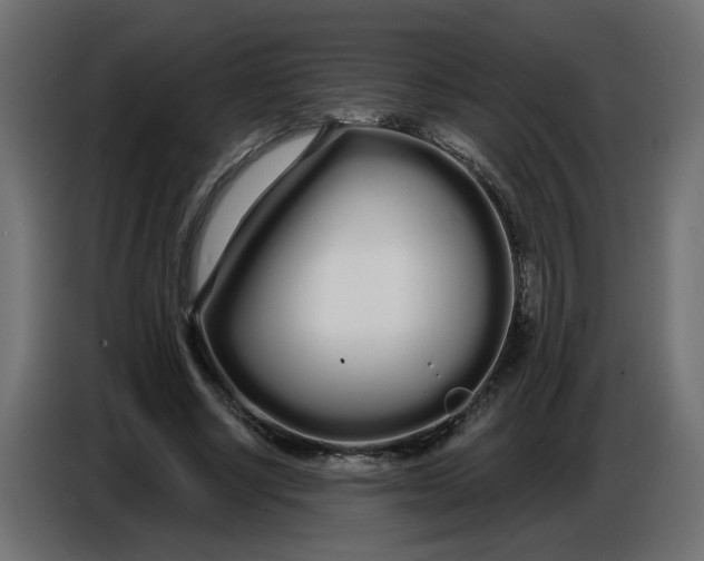 X0000086780634200705041529