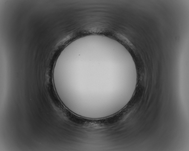 X0000086780635200705041529