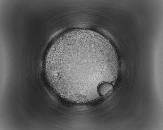 X0000086780636200705041529