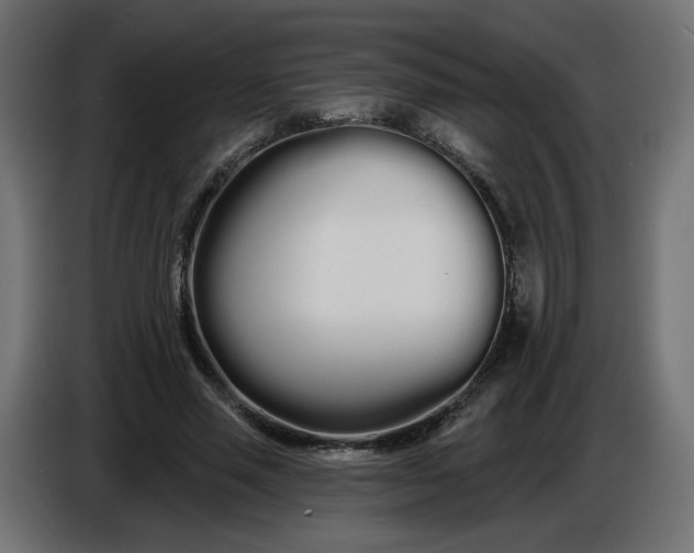 X0000086780637200705041529