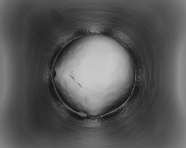 X0000086780639200705041529