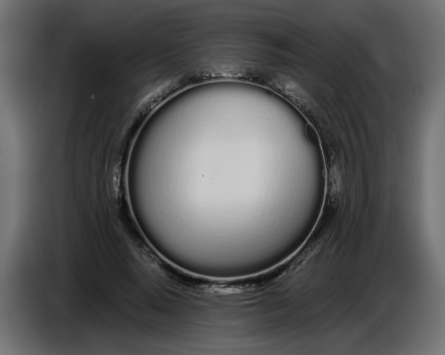 X0000086780640200705041529