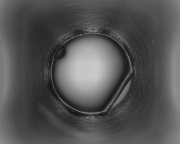 X0000086780641200705041529